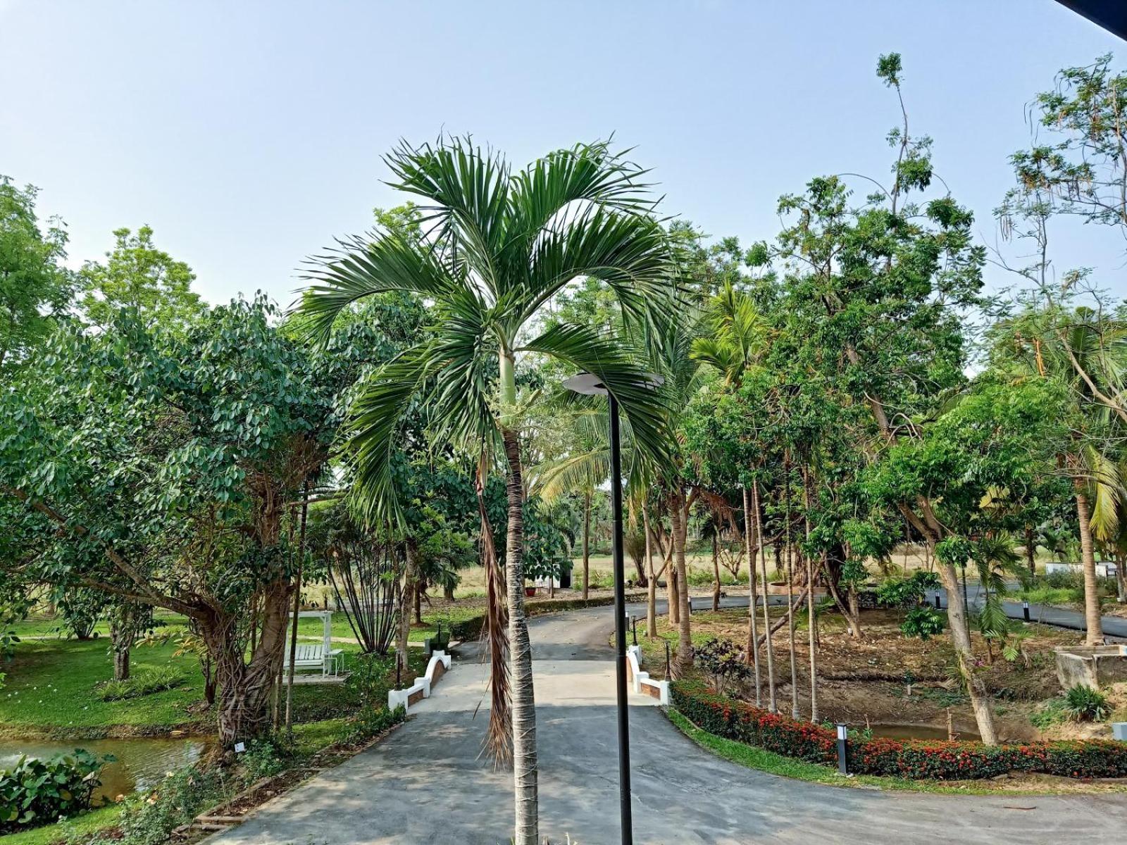 Nan Bluesky Resort And Spa Екстериор снимка